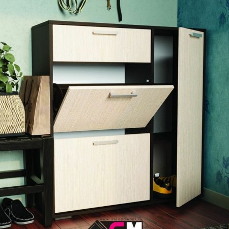 Обувница Дели №4 для прихожей (Венге/Белфорд)