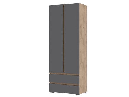 Хелен шкаф ШК 01 2 ств (Дуб крафт золотой/Графит)
