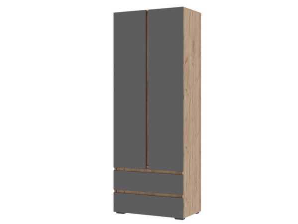 Хелен шкаф ШК 01 2 ств (Дуб крафт золотой/Графит)