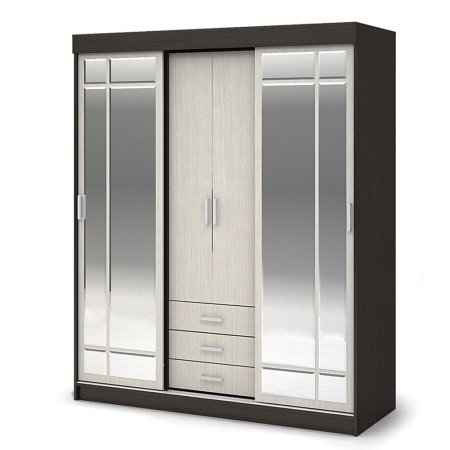 Шкаф-купе Лидер 1К (Венге/Белфорд)