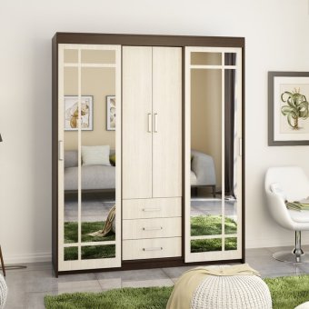 Шкаф-купе Дипломат 01 (Анк.тем/анк.бел) - ЦРК.ДПМ.01