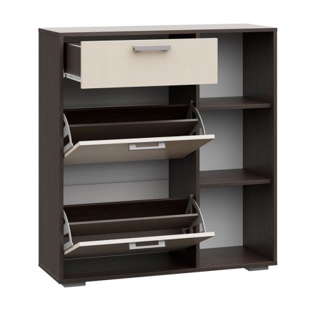 Обувница Дели №4 для прихожей (Венге/Белфорд)